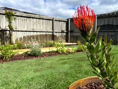 Lawns and gardens